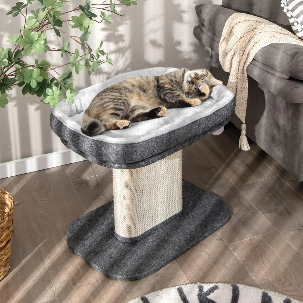 Tangkula Cat Tree for Indoor Cats, 2-Tier Cat Tower with Top Perch & Sisal Scratching Panel & Jingling Fur Ball Toy