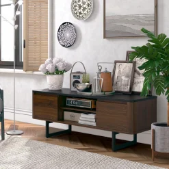 TV Stand with Storage for TVs up to 55 Inch, 2-Door TV Console Table